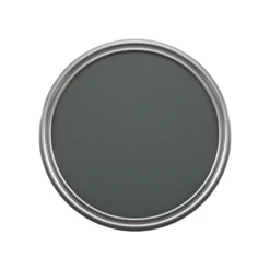 GoodHome Naturéa Old Moss Velvet Matt Emulsion Paint, 2.5L -Goodhome goodhome naturea old moss velvet matt emulsion paint 2 5l5059340274188 12c bq